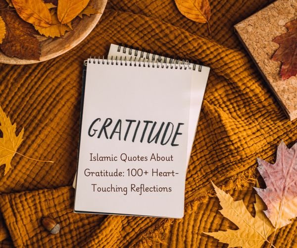Islamic Quotes About Gratitude: 100+ Heart-Touching Reflections